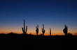 © dan - Desert sunset colection