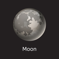 Wall Mural - High quality gray planet galaxy astronomy moon science globe orbit star vector illustration.