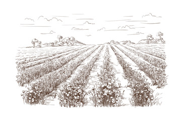vector hand drawn village houses sketch and nature Hand drawn Illustration.