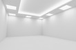 © alexus - Еmpty white room with square ceiling lights diagonal view