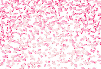 Canvas Print - Spring vector background with falling pink petals of sakura blossom