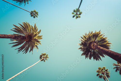 Fotomural Rodeo Drive Beverly Hills Palm Trees