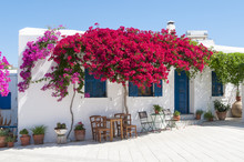 Greek Terrace