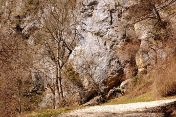 Road to the winter and touristic station Poiana Brasov, 12 km from Brasov, a town situated in Transylvania, Romania, in the center of the country. 300.000 inhabitants