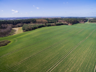 Wall Mural - 
Aerial view of beautiful green agricultural fields in  germany