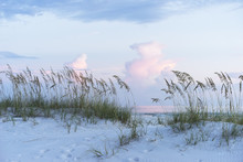 Pastel Sunset At Florida Beach Scene With Sea Oats And Sand Dunes