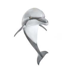 Wall Mural - Jumping Bottlenose Dolphin - Tursiops Truncatus. Sea life isolated on white background. 
