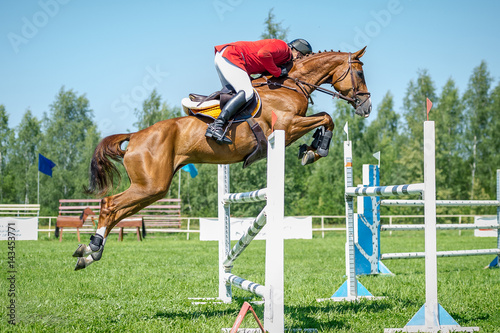 Fotografía The rider on the red show jumper horse overcome high obstacles in the arena for