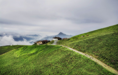 Sticker - Foggy landscape in the Alps mountains, Tirol, Austria. At the background is Kitzbuhel peak.