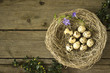 Jajka przepiórcze w gnieździe - Easter, Wielkanoc kartka, życzenia świąteczne