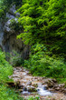 nature in summer time. spring, summer scenery, landscape with a stream, flowing water, among rocks and green trees in the woods. outdoors, nature, spring summer background 