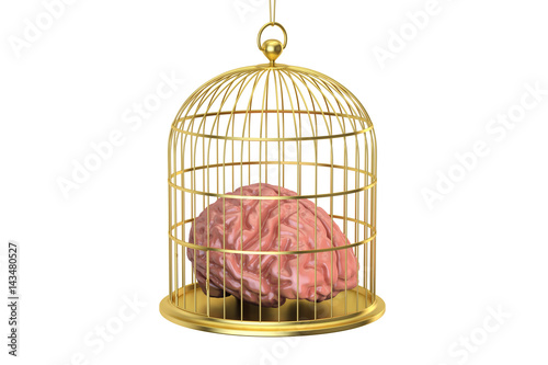 Fényképezés Birdcage with a brain inside, 3D rendering