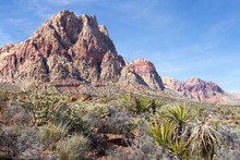 Nevada Desert View
