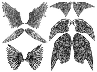 Wall Mural - Wings pair set. Hand drawn detailed bird and angel wings. Vector.