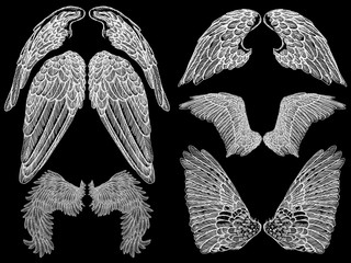 Wall Mural - Spread set of wings. Hand drawn etched woodcut vintage style pair of wing collection vector.