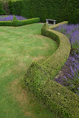 Wall Mural - Beautiful English topiary garden.