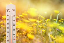 Thermometer At Field Of Flowers Indicating Weather Change