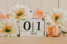 May 1st. Image Of May 1 White Block Calendar On White Background With Flowers. Spring Day, Empty Space For Text. International Workers' Day