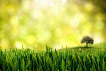 Canvas Print - Composite image of grass growing outdoors