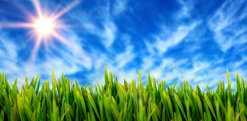 Canvas Print - Composite image of grass growing outdoors