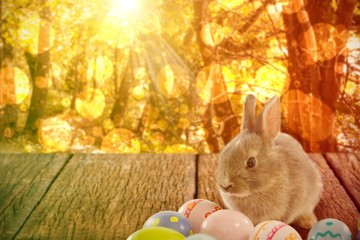 Composite image of bunny with patterned easter eggs