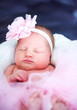 © Nadezda Ledyaeva - cute newborn baby sleeping