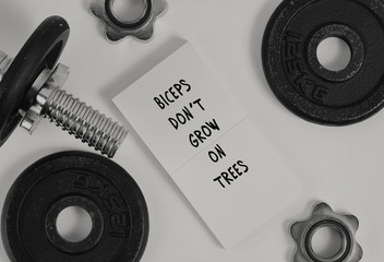 Wall Mural - Funny Fitness motivation quote Biceps don t grow on trees Sport Inspirational quote.