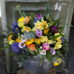 the Bouquet of yellow tulips, blue hyacinths, eucalyptus and ranunculus