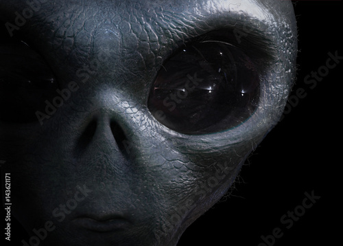 Photo  alien