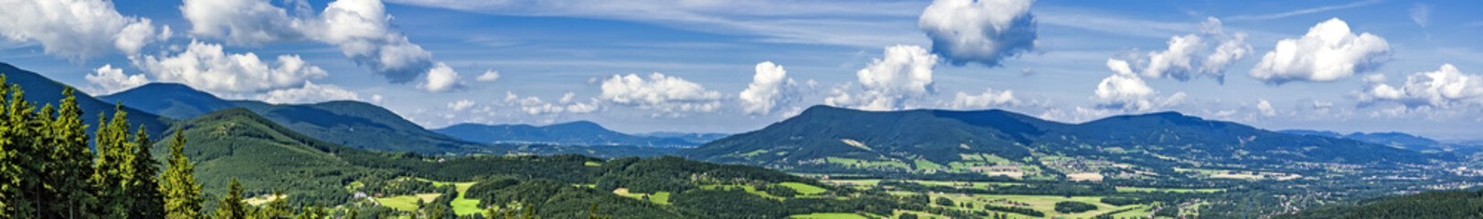 Wall Mural - Panorama of summer mountains