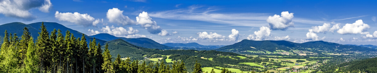 Wall Mural - Panorama of summer mountains