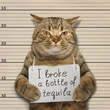The bad cat smashed a bottle of nice tequila. He was arrested for for that terrible crime.