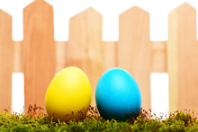 Painted Easter Colorful Eggs At Wooden Fence On Green Moss
