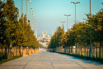 Wall Mural - Blue Mosque view