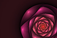Black Background With Pink And Orange Rose In The Corner. Flower Texture, Fractal Pattern. Marsala Flower On Dark Purple Backdrop.