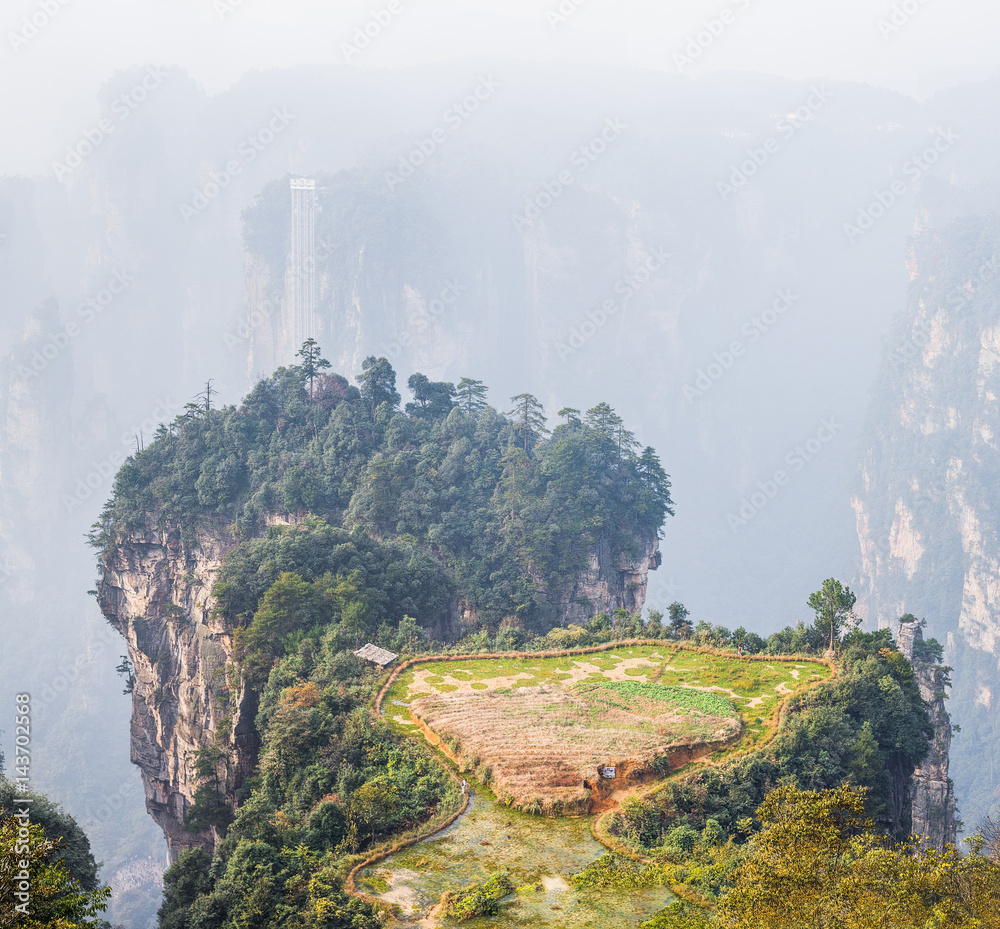 Unique peasant farm on the top of pillar mountain (Avatar rocks ...