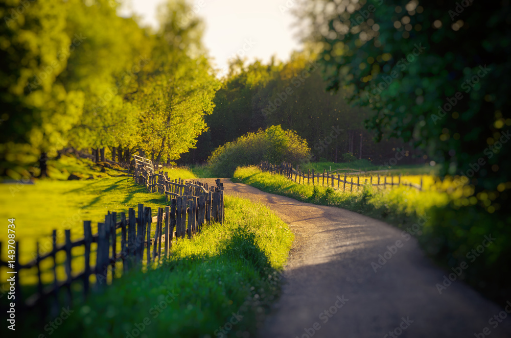 Rural Sweden summer landscape with road, green trees and wooden fence. Adventure scandinavian hipster eco concept - obrazy, fototapety, plakaty 