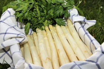 Weißer Spargel dekoriert in einer Holzkiste (White asparagus decorated in a wooden box)