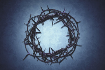 Canvas Print - Crown of Thorns