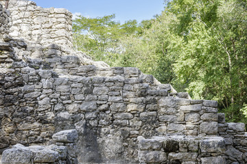 ancient Mayan stone wall in Coba Ruins, Mexico