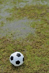 soccer field and the bright lights