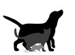 © zolotons - Illustration, vector, silhouette dog cats and mice