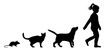 © zolotons - Illustration, vector, silhouette of dog cat and mouse and child
