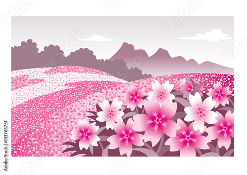 芝桜風景 花畑 Adobe Stock でこのストックイラストを購入して