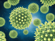 Pollen Allergy Is Also Known As Hay Fever Or Allergic Rhinitis , Airborne Pollen Grains