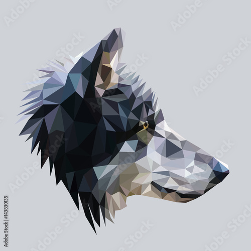 Wolf low poly design. Triangle vector illustration. Tableau sur Toile