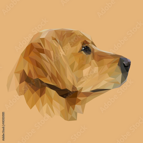 Golden Retriever Dog animal low poly design Tableau sur Toile