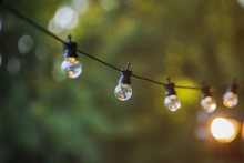 Light Bulbs With A Beautiful Green Forest Background - Summer In Nature Concept