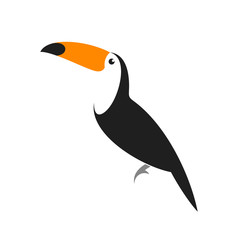 Poster - Toucan. Exotic bird on white background