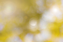 Out Of Focus Yellow Bokeh Background